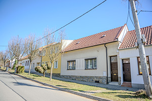 Thumbnail Image 1